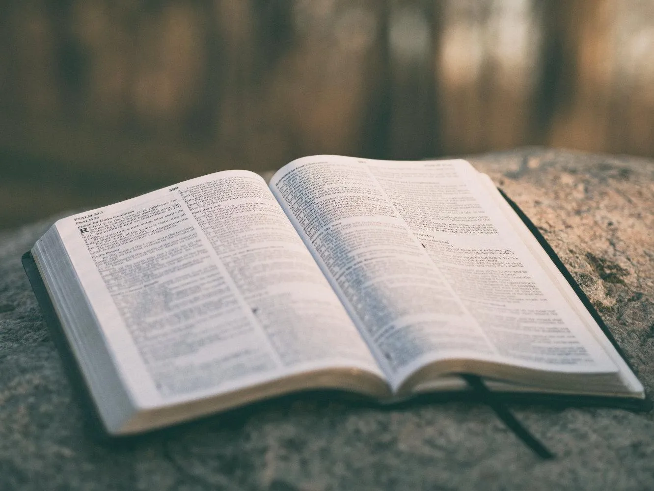 Open Bible and notebook used for learning basic study principles