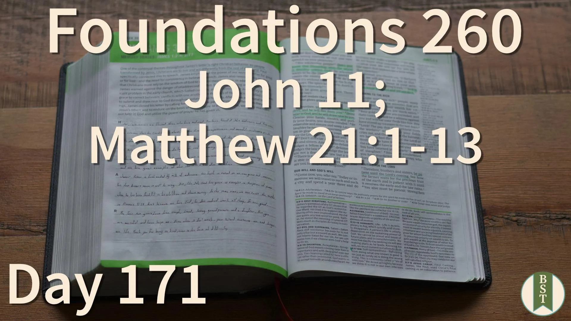 F260 Bible reading plan graphic for Day 171: John 11; Matthew 21:1-13
