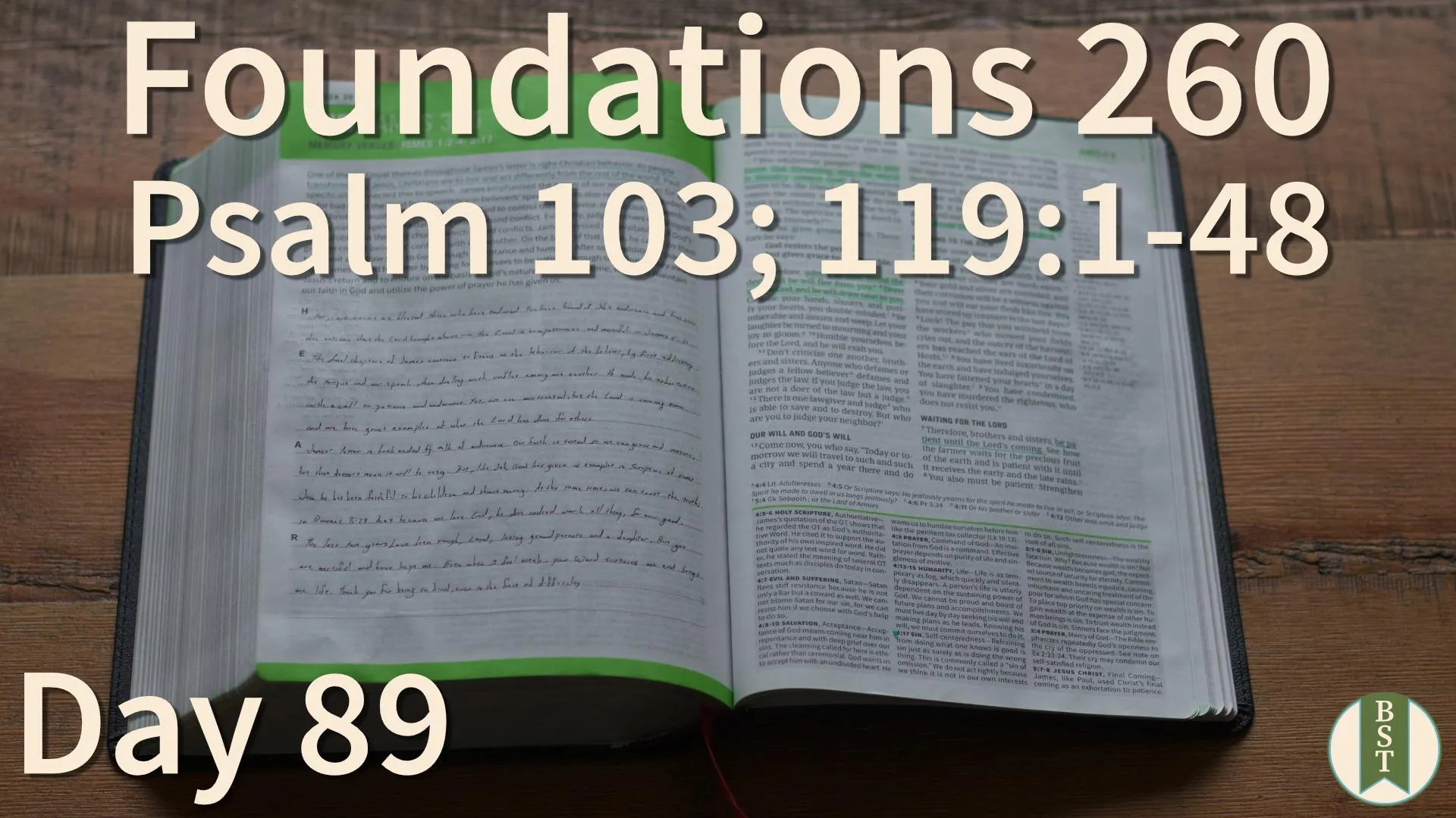 F260 Bible reading plan graphic for Day 89: Psalm 103; 119:1-48