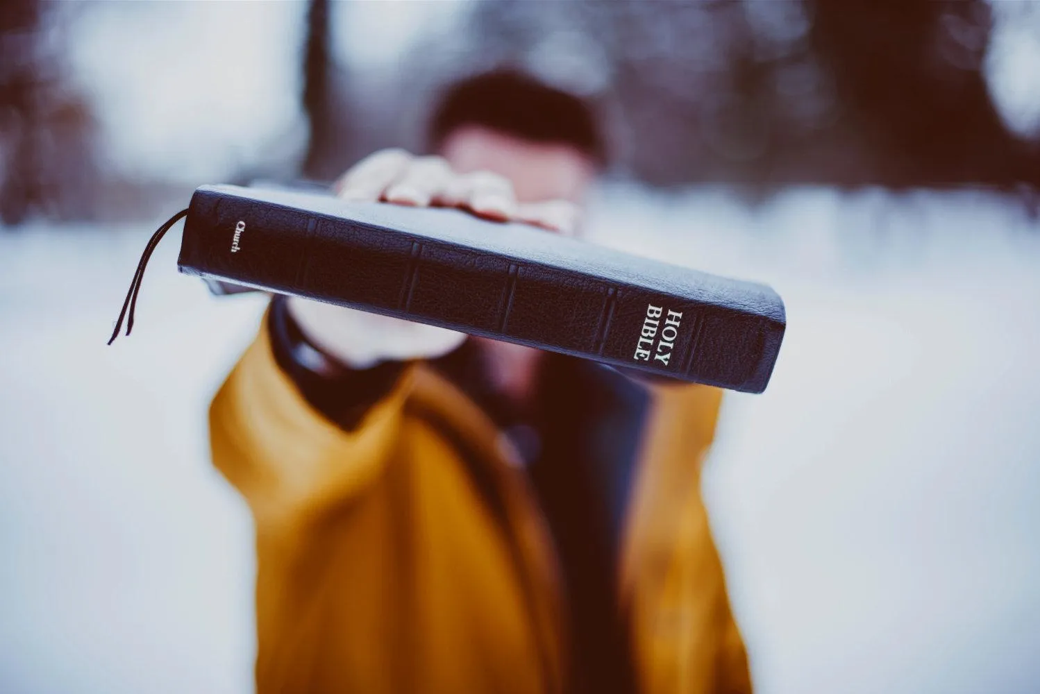 Several Bible translations lined up side by side for comparison
