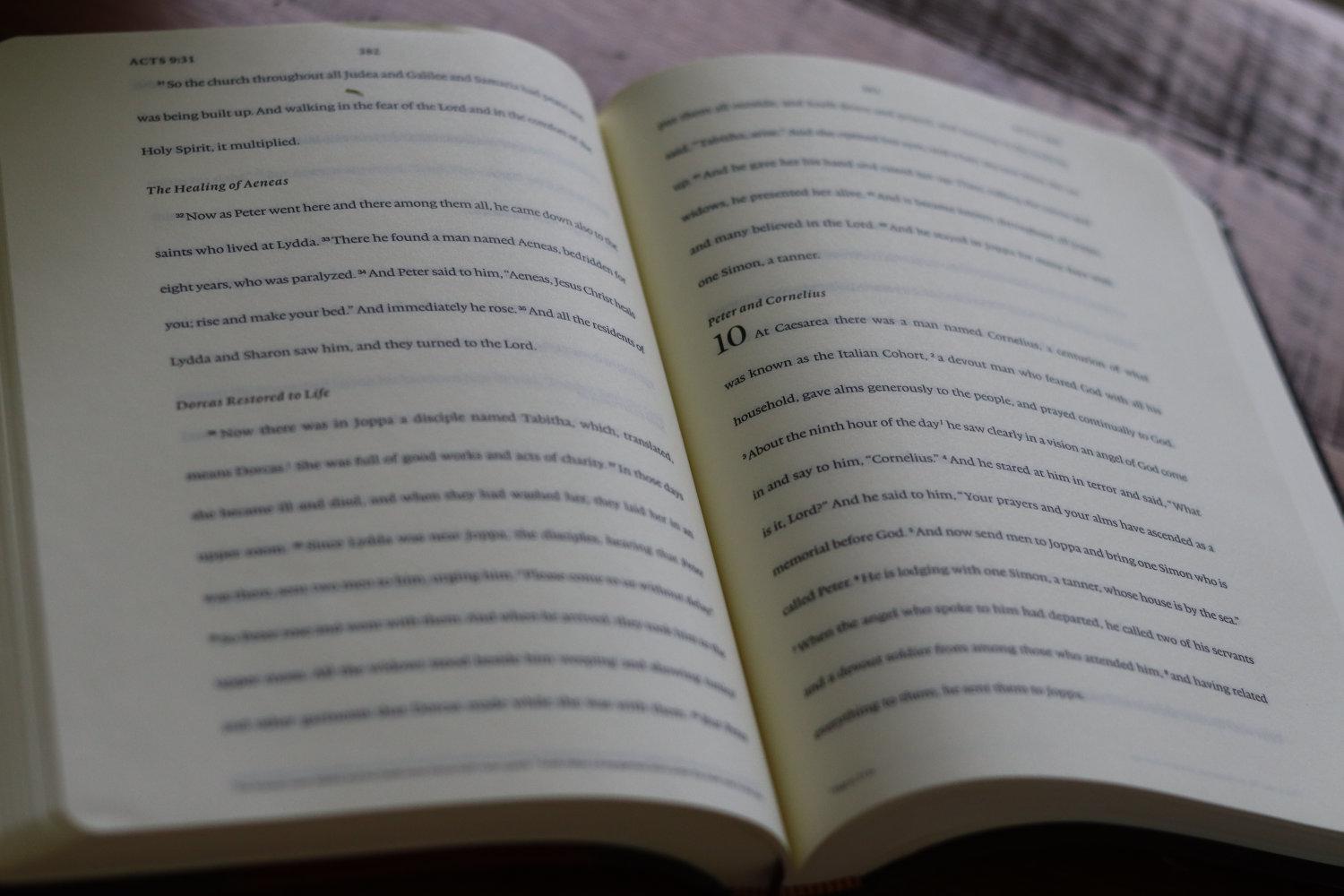 ESV Journaling New Testament Inductive Edition