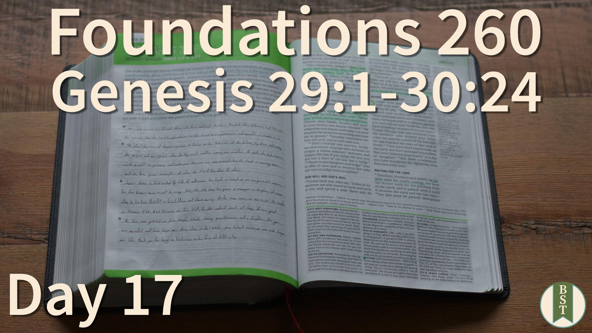 F260 Day 17: Genesis 29:1-30:24