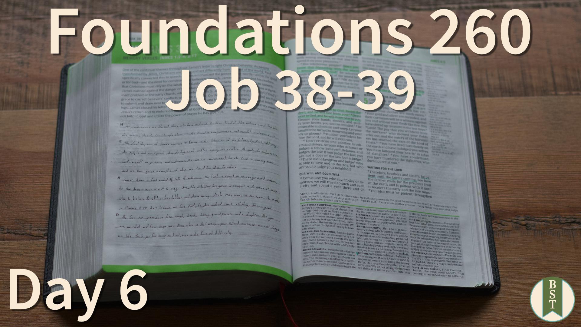 F260 Day 6: Job 38-39